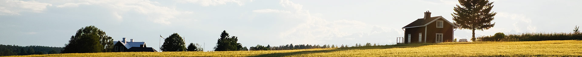 top_12 top_12