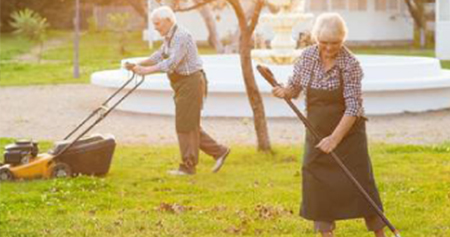 tradgard_senior tradgard_senior