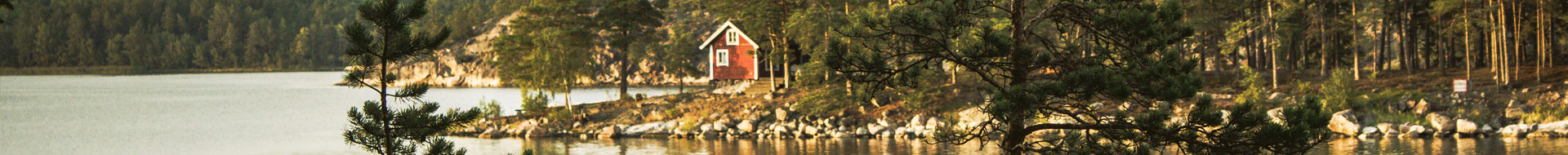 top_17 top_17